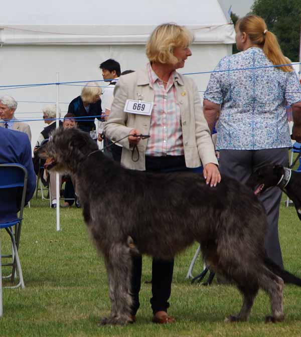 Earl Grey von der Oelmuhle